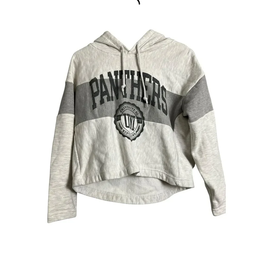Champion Panthers Hoodie University Northern Iowa M Medium Casual Athleisure - Picture 1 of 6